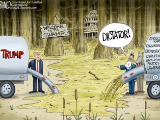 Swamp Wars